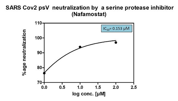 20201124_serpin_nafamostat_psv-neutralization_sm