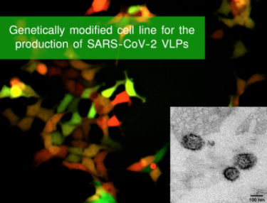 2020_09_30-composite-14_375_nm